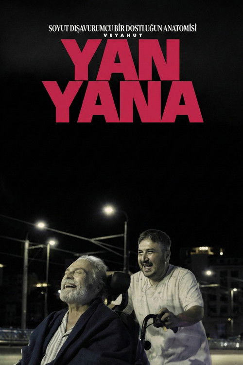 Soyut Dışavurumcu Bir Dostluğun Anatomisi Veyahut Yan Yana (2025)